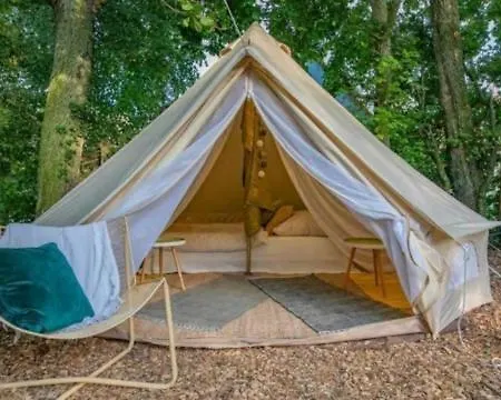 Into The Glamping- Beech