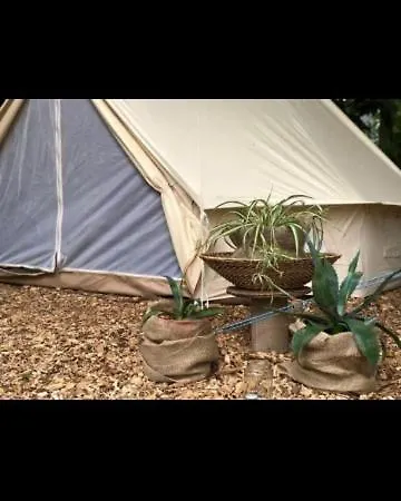Into The Glamping- Beech