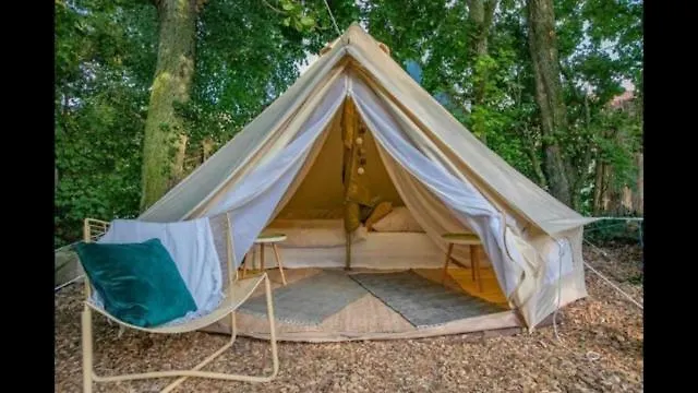 Into The Glamping- Beech