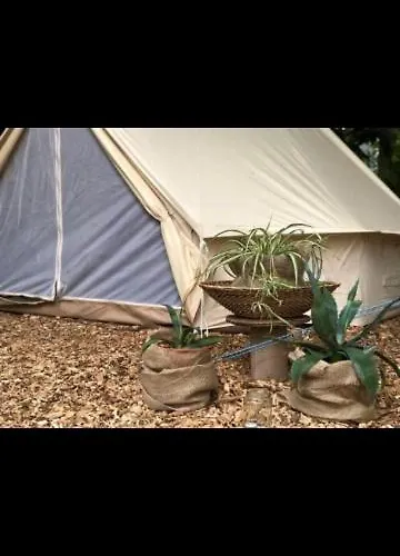 Into The Glamping- Beech